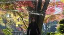 Seorang wanita mengenakan masker untuk melindungi diri dari penyebaran COVID-19 berjalan melalui dedaunan musim gugur di Kuil Zojyo-ji, Tokyo, Jepang, Selasa (30/11/2021). WHO telah menetapkan Omicron atau B.1.1.529  sebagai variant of concern (VOC) pada Jumat lalu. (AP Photo/Koji Sasahara)