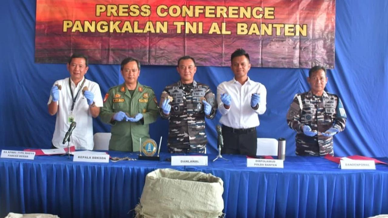 FOTO: TNI AL Gagalkan Penyelundupan Sisik Trenggiling di Perairan Banten