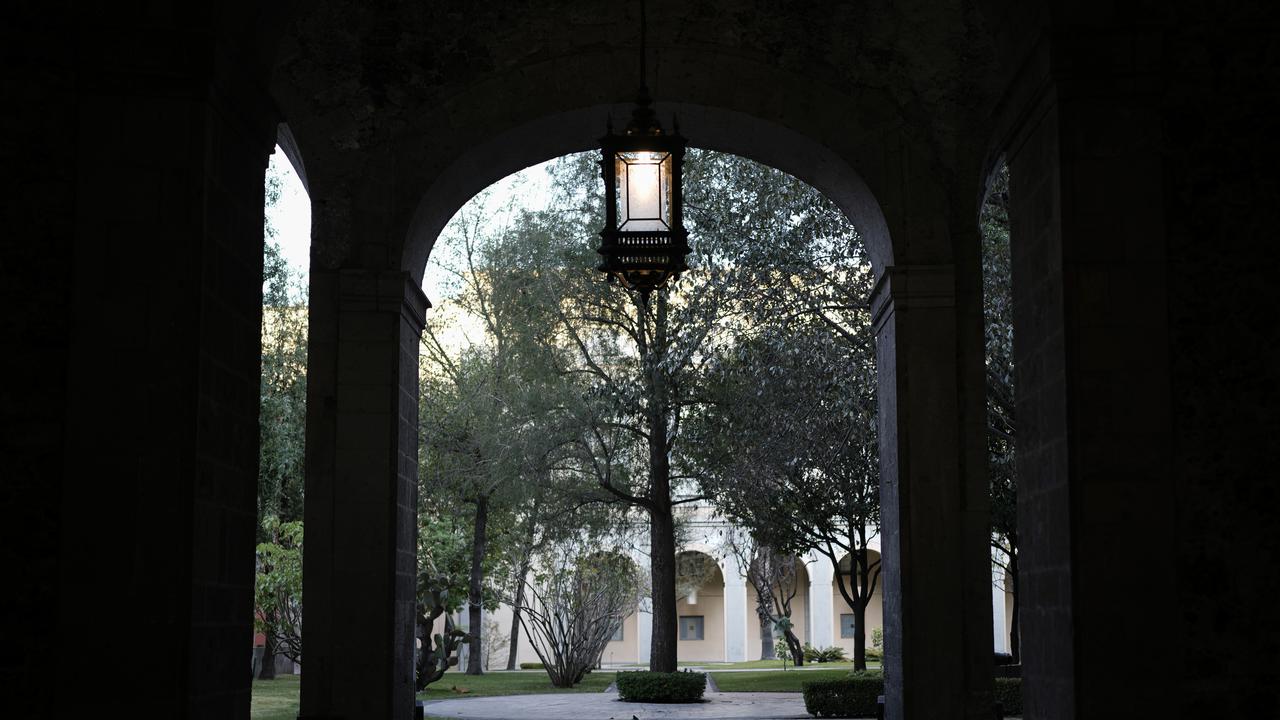 19 Kucing Liar Cetak Sejarah, Dinobatkan Sebagai Aset Tetap Hidup Istana Kepresidenan Meksiko