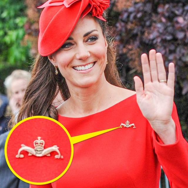 Selain Sebagai Aksesoris, Ini Makna Dibalik 7 Bros yang Dipakai Anggota Kerajaan