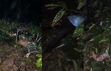 Motor Masuk Jurang 20 Meter di Lampung Barat, 1 Orang Tewas