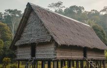 Tiga Rumah Adat Papua Selatan yang Memikat dengan Arsitektur dan Fungsinya