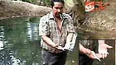 liputan6
