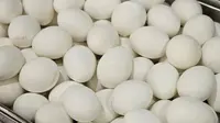 7 Cara Masak Telur yang Baik dan Benar Menurut Pakar, Anti Gagal dan Gak Bikin Kolesterol Naik!