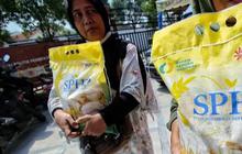 Kita Pastikan Setiap Piring Terisi', 900 Ton Beras Didistribusikan ke Sumatera dan Kalimantan