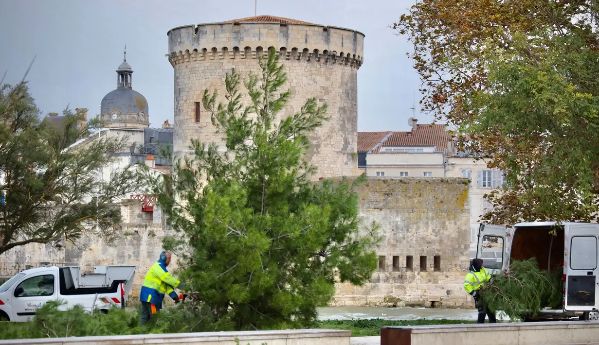 Sejumlah pohon tumbang di depan salah satu menara La Rochelle di La Rochelle, Prancis Barat Tengah pada tanggal 2 November 2023 (YOHAN BONNET/AFP)