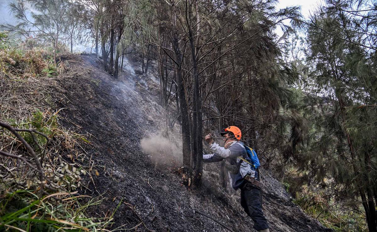 Karhutla Gunung Bromo Meluas Hingga 550 Hektare