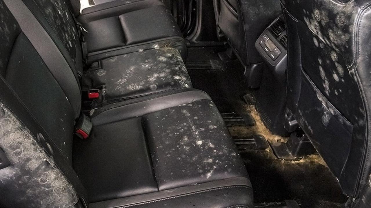 Langkah yang Benar Membersihkan Jok Mobil Berbahan Kain Agar Tetap Awet