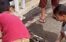 Gokil, Nyali Bocah Ini Tangkap Ular Sanca Sepanjang 3 Meter