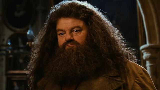 Rubeus Hagrid