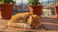 Teras Rumah Sering Jadi Tempat Tidur Kucing? Gunakan 7 Kombinasi Pot Tanaman di Sudut Ini