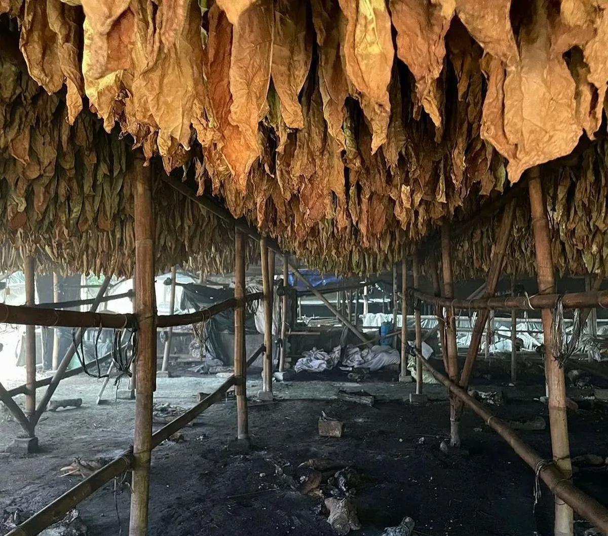"Faktanya, di RPP Kesehatan ini banyak larangan (bagi produk tembakau). Sebaliknya, pasal tentang pengendalian, edukasi, dan sosialisasi itu tidak ada. Hanya larangan saja. Memangnya rokok ini ilegal?" tanya Willem.