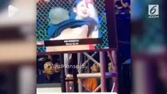 Seorang gadis ring tak sengaja terkena pukul seorang petarung bebas pada saat akan memakai baju.