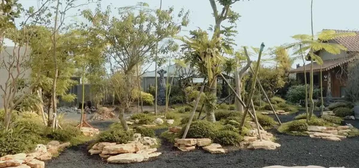 Model Kolam di Taman Rumah Soimah yang Luas Banget, Asri dengan Detail Artistik