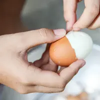 mengupas telur rebus