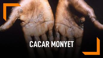 Wabah Cacar Monyet Langka Terdeteksi di Amerika Utara dan Eropa