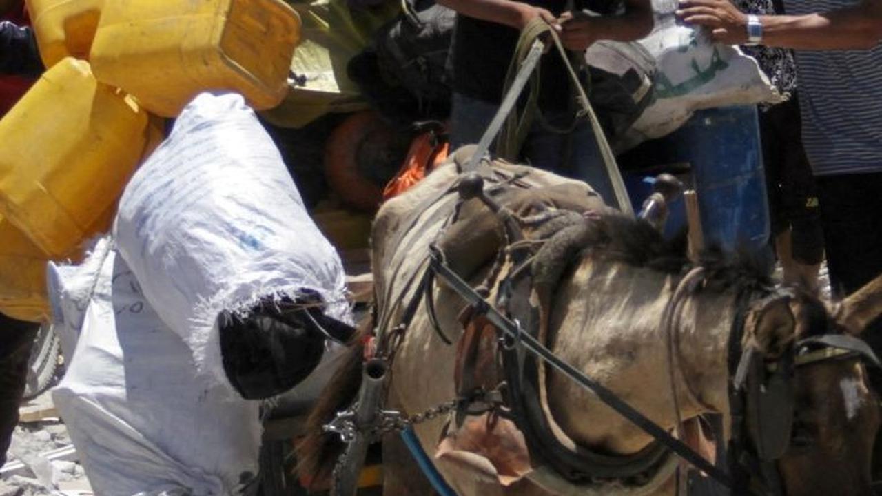 Pasokan bantuan ke wilayah tersebut anjlok sejak Israel memulai operasi militer di Rafah bulan ini.<br>