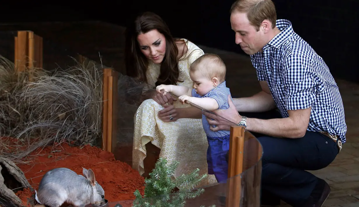 Pangeran George begitu antusias dan mencoba mencengkeram pagar kaca karena ingin menyentuh Bilbies yang memiliki nama Bilby George, saat berkunjung ke kebun binatang Taronga, Sydney, Australia, (20/4/2014). (REUTERS/Chris Jackson)
