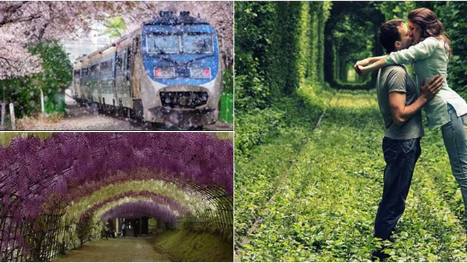 Foto dari Berbagai Sumber