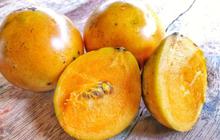 Mengenal Buah Mundu yang Jarang Ditanam, Buah Lokal yang Perlu Dilestarikan