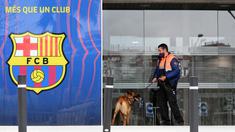 Polisi melakukan penggeledahan di kantor Barcelona atas kasus Barcagate. Empat orang ditangkap termasuk mantan presiden Barca Josep Maria Bartomeu. (AFP/Lluis Gene)