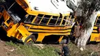 Sebuah bus sekolah ringsek menabrak pohon di Anaheim, California, Kamis (24/04/2014) (REUTERS/Alex Gallardo). 