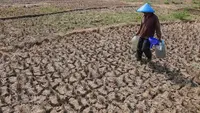 Menteri PU Turun ke Lapangan, Temukan Laporan Kekeringan Tak Sesuai Kondisi
