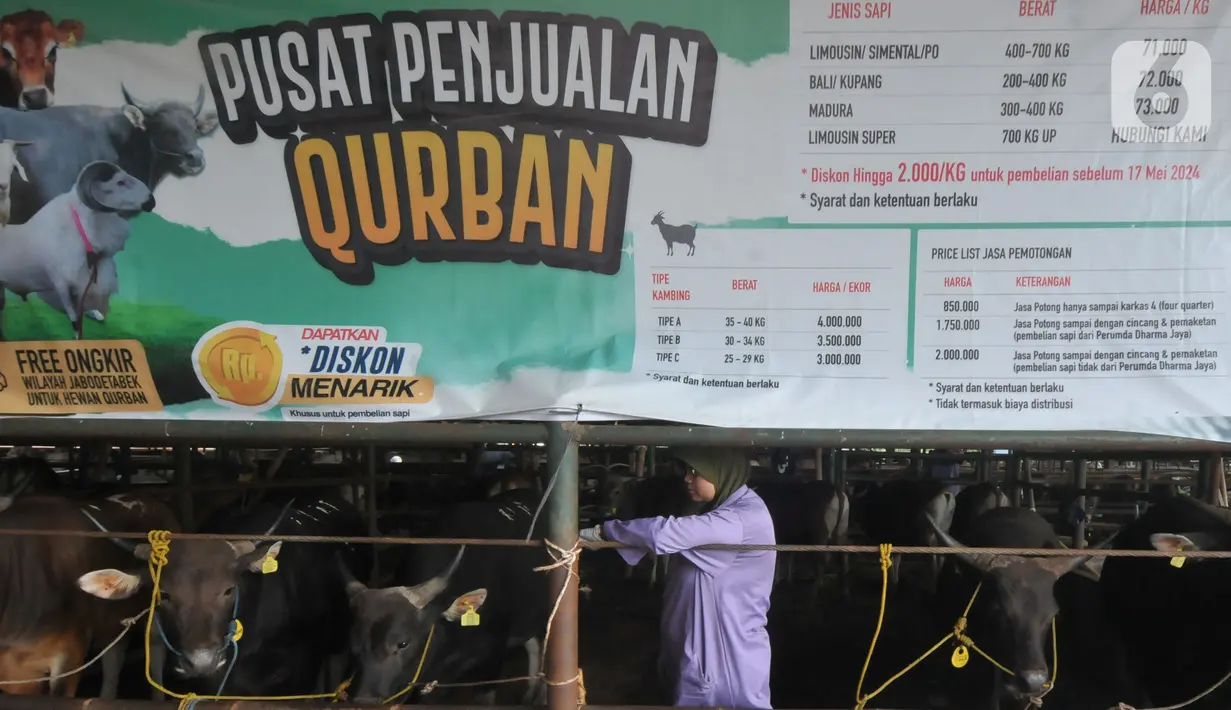 Pemeriksaan kesehatan hewan kurban rutin dilakukan dinas terkait khususnya menjelang Hari Raya Idul Adha. (merdeka.com/Imam Buhori)