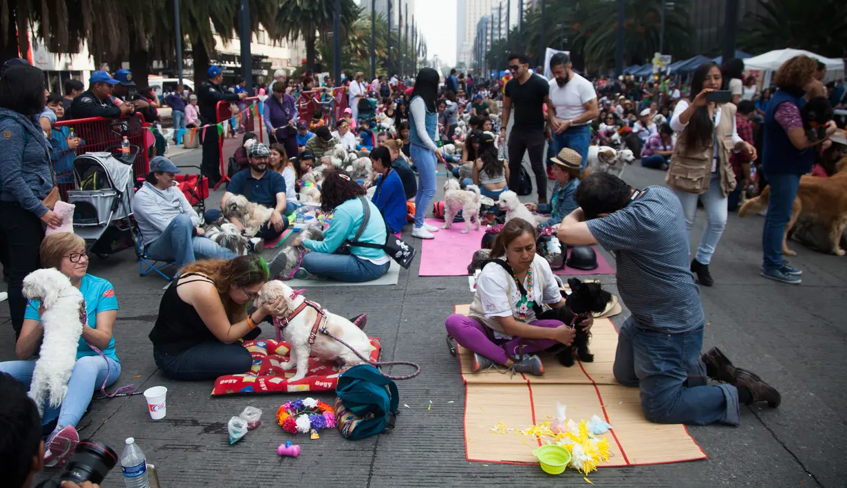 Orang-orang berkumpul dan bermain dengan anjing mereka selama acara "Kukur Tihar" di Mexico City, Minggu (11/11). Kukur Tihar adalah festival Hindu yang dirayakan khusus untuk menghormati anjing. (AP Photo/Claudio Cruz)