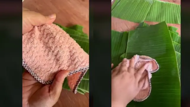 Tahan hingga 1 Bulan, Ini Cara Efektif Simpan Daun Pisang Agar Awet Segar dan Tetap Hijau