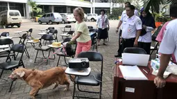 Warga membawa anjing peliharaannya saat Sinkronisasi Data Rabies Melalui Aplikasi 'SIRaJa: Sistem Informasi Rabies Jakarta' di Kantor Dinas Ketahanan Pangan, Kelautan, dan Pertanian (KPKP), Jakarta, Rabu (12/9). (Merdeka.com/Iqbal Nugroho)