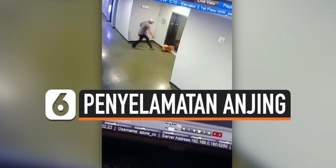 VIDEO: Detik-Detik Anjing Tersangkut di Lift
