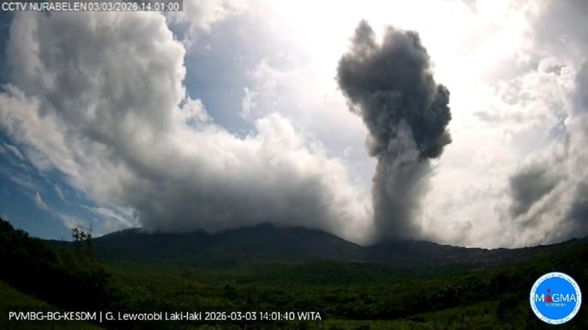 Gunung Lewotobi Laki-laki Erupsi Kembali, Kolom Abu Capai 1.500 Meter