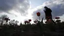 Wanita berjalan di ladang tulip "Tulipani Italiani", yang ditanam pasangan Belanda Edwin Koeman dan Nitsuje Wolanios di Arese, Milan, Italia (15/4/2021). Pasangan ini menanam 250.000 tulip dari 183 varietas yang berbeda untuk menciptakan tradisi Belanda. (AP Photo/Antonio Calanni)
