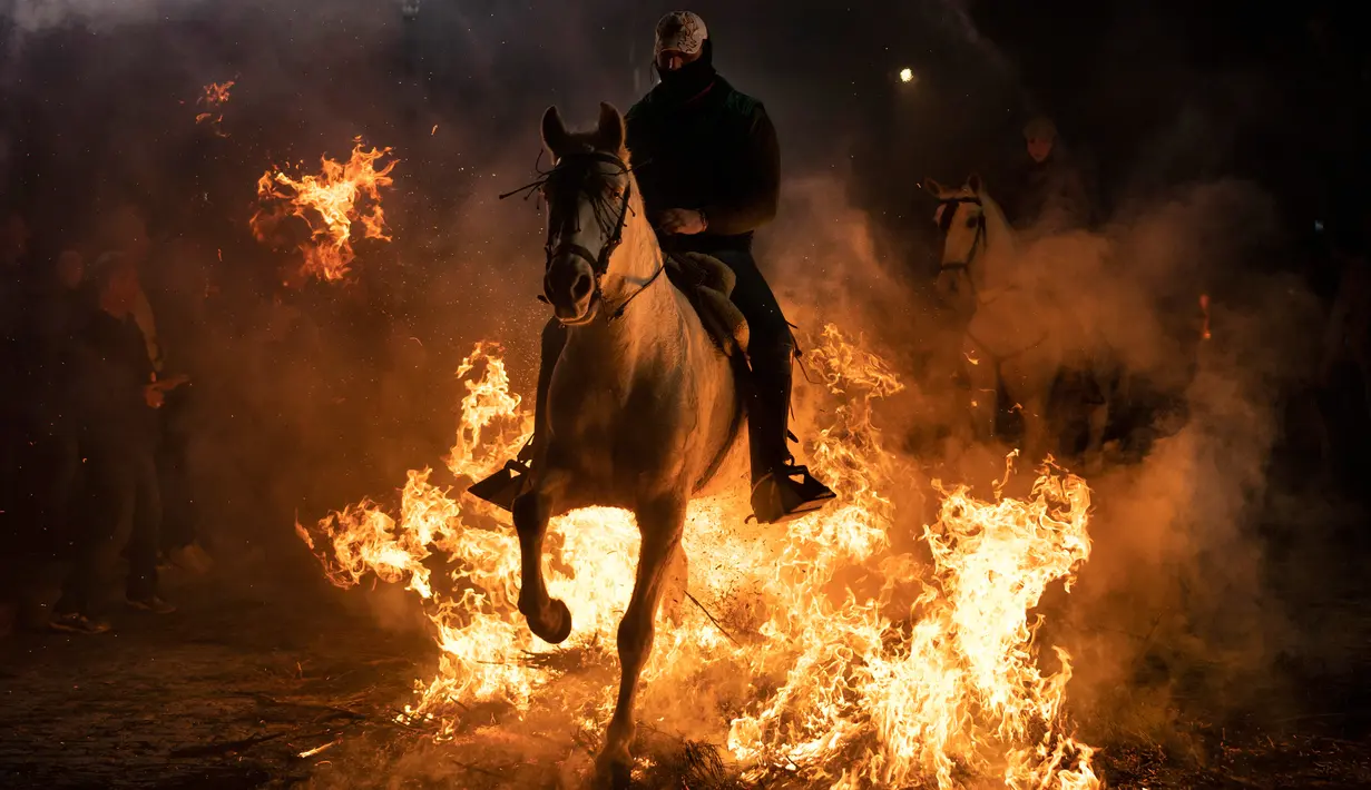 Seorang pria menunggangi kuda melewati api unggun selama festival Luminarias di San Bartolome de Pinares, Spanyol, Rabu (16/1). Acara keagamaan ini bertujuan untuk menyucikan binatang peliharaan dan ternak mereka. (AP/Felipe Dana)