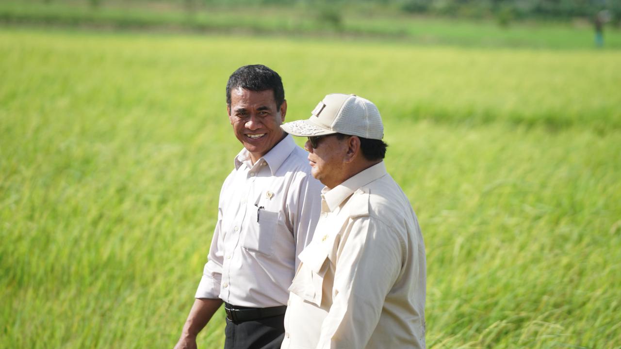 Mentan: Produksi Padi Indonesia Diproyeksi Capai 34,7 Juta Ton di Akhir 2025