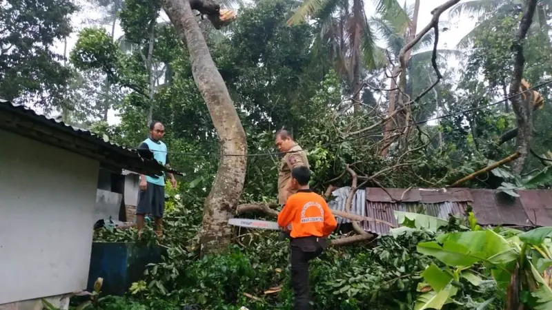 Angin kencang menerjang Banyumas, Jawa Tengah, Minggu sore, 11 November 2018. (Liputan6.com/Tagana Banyumas/Muhamad Ridlo)