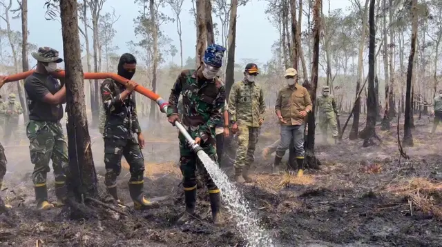 Selang Air Dibentang 3 Km, Mengapa Kebakaran Way Kambas Sulit Padam?