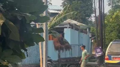 Jalur Pelarian Orang Utan dari Kandang ke Warung Ayam Goreng