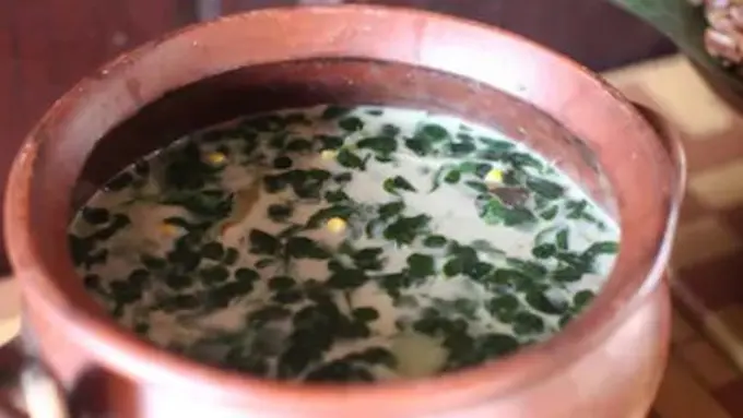 ilustrasi sayur bobor daun kelor/shutterstock