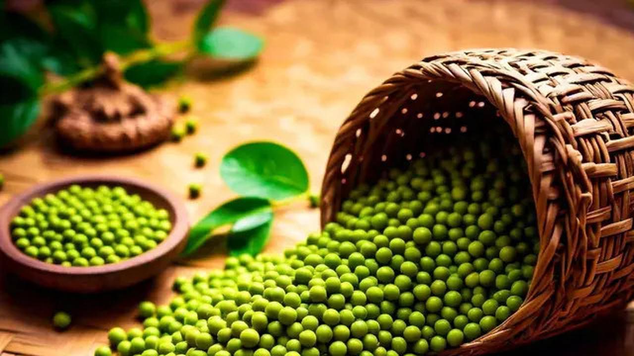 Cara Mudah Membuat Sari Kacang Hijau Sehat dan Tahan Lama