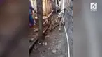 Aksi emak-emak bertengkar rebutan batas tanah tersebar di media sosial.