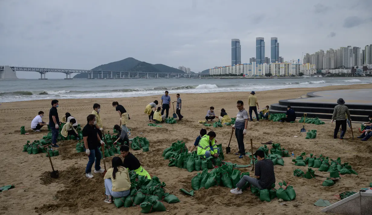 Anggota dewan distrik mengisi kantong pasir sebagai bagian dari persiapan menjelang kedatangan topan Maysak, di pantai Gwangalli di Busan (2/9/2020). Penerbangan di-grounded di Korea Selatan dan peringatan badai dikeluarkan di kedua sisi semenanjung Korea. (AFP/Ed Jones)