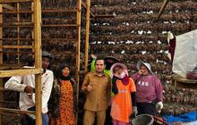Pemkab Solok Dorong Integrasi Pertanian Pariwisata Solok di Alahan Panjang
