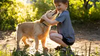 Top 5 Recommended Low-Maintenance Pets For Your Kids!