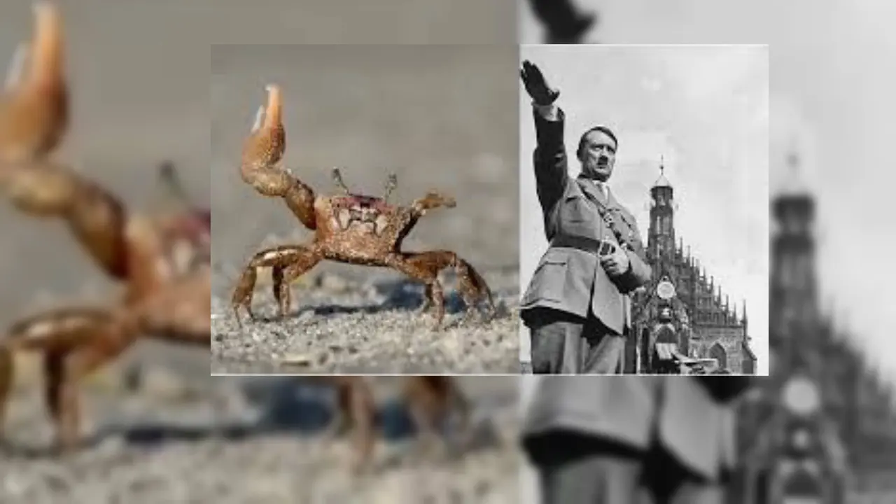 'Kepiting Hitler' Hebohkan Netizen