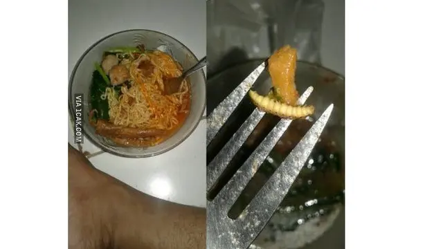 6 Momen Apes Makan Mi Ayam Ini Bikin Elus Dada