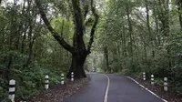 Suasana jalan penghubung Mojokerto dan Cangar Malang. Foto (istimewa/baca)