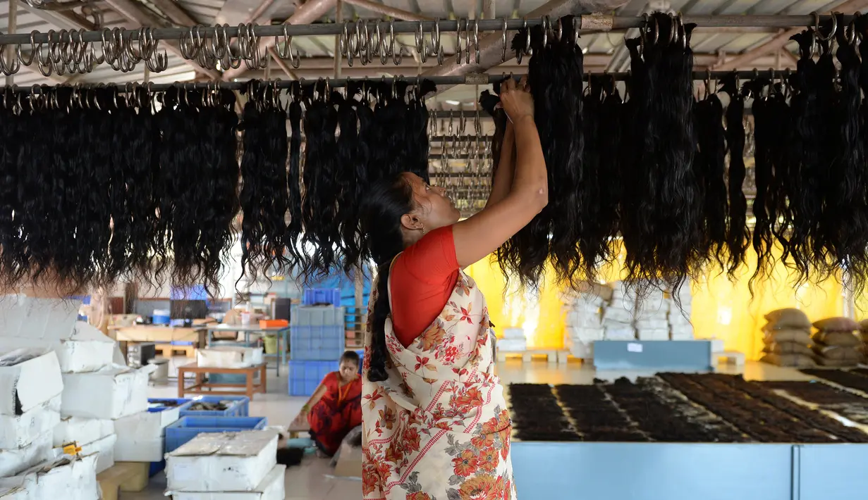 Pekerja menjemur rambut palsu di pusat pengolahan Raj Hair International di Alinjivakkam, India (25/7). Di india Rambut menjadi simbol pengorbanan bagi pemeluk Hindu. (AFP Photo/Arun Sankar)