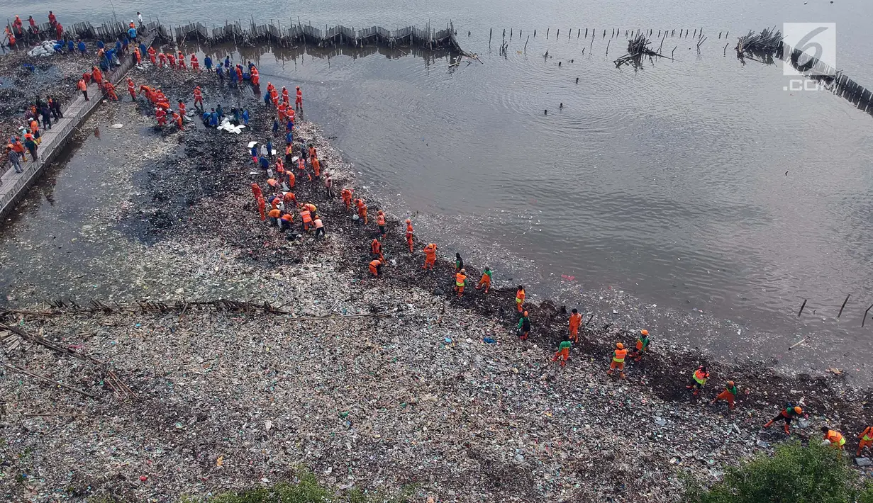 Petugas Suku Dinas Lingkungan Hidup membersihkan lautan sampah di Kawasan Hutan Mangrove Ecomarine Muara Angke, Jakarta, Minggu (18/3). Total ada 19,34 ton sampah diangkut pada pembersihan yang dilakukan sejak Sabtu (17/3). (Liputan6.com/Arya Manggala)